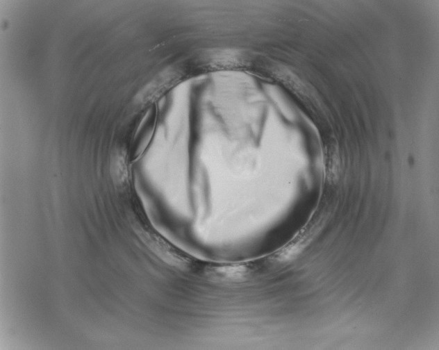 X0000075330478200609250951