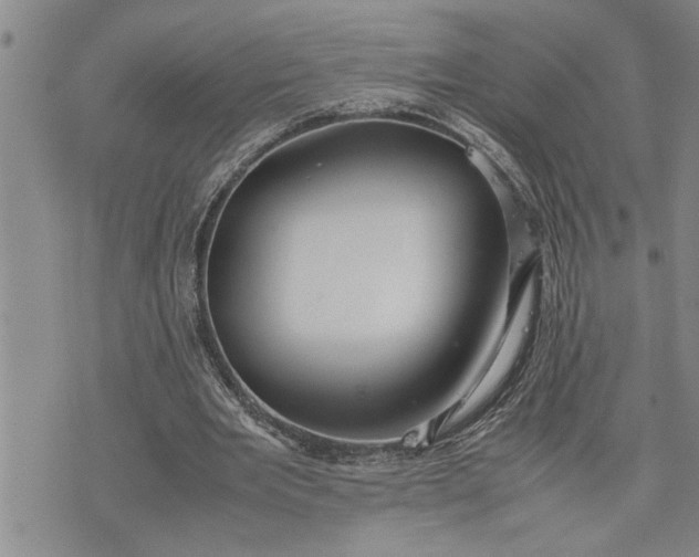 X0000075330485200609250951