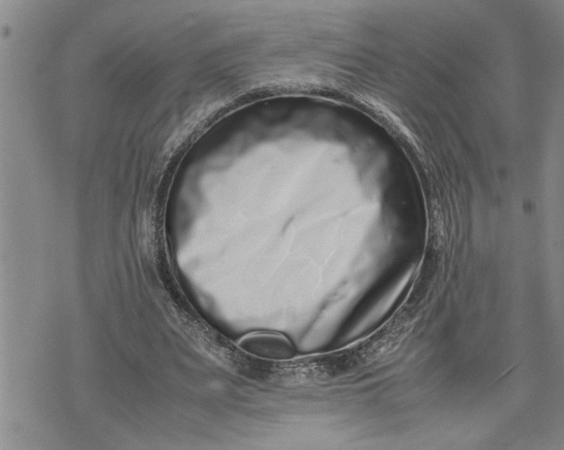 X0000075330487200609250950