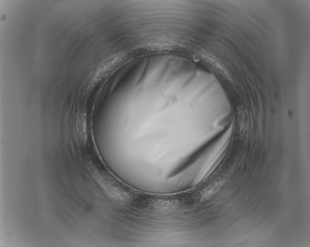 X0000075330494200609250950