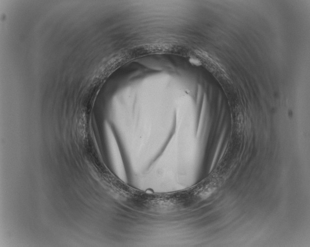 X0000075330498200609250950