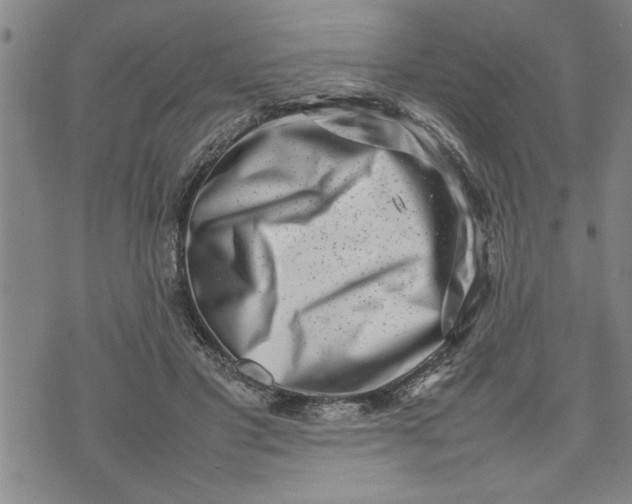 X0000075330501200609250950