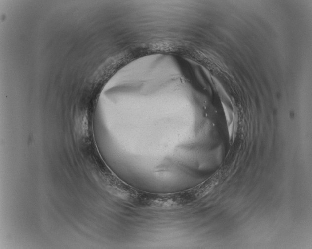 X0000075330502200609250950