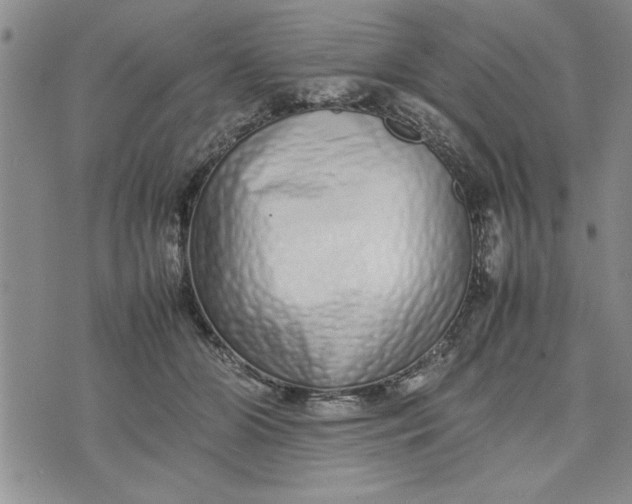 X0000075330510200609250950