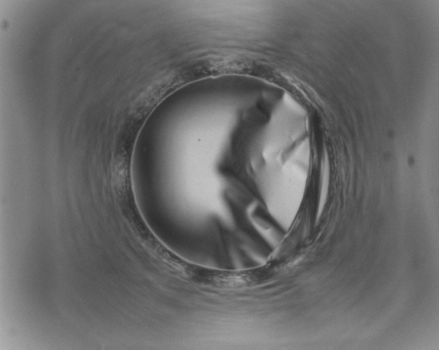 X0000075330513200609250950