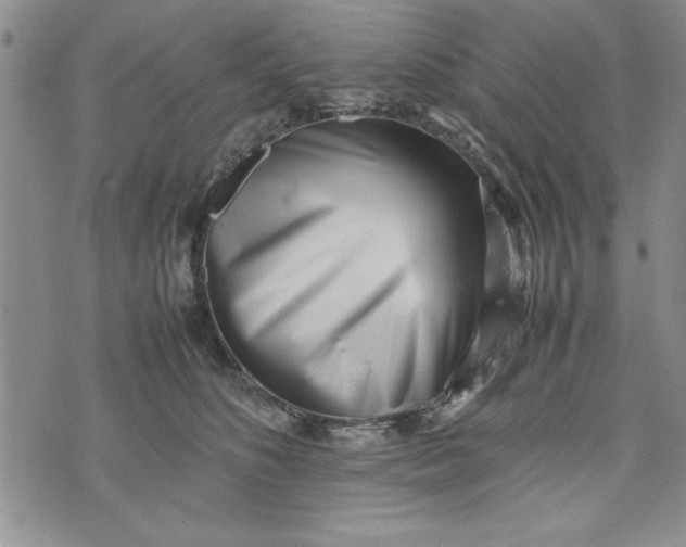 X0000075330516200609250950