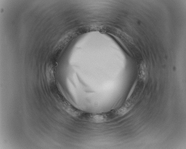 X0000075330522200609250950