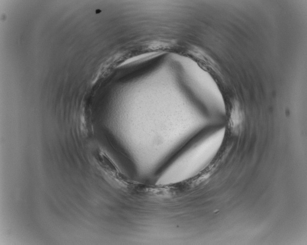 X0000075330524200609250950