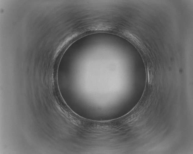X0000075330531200609250949
