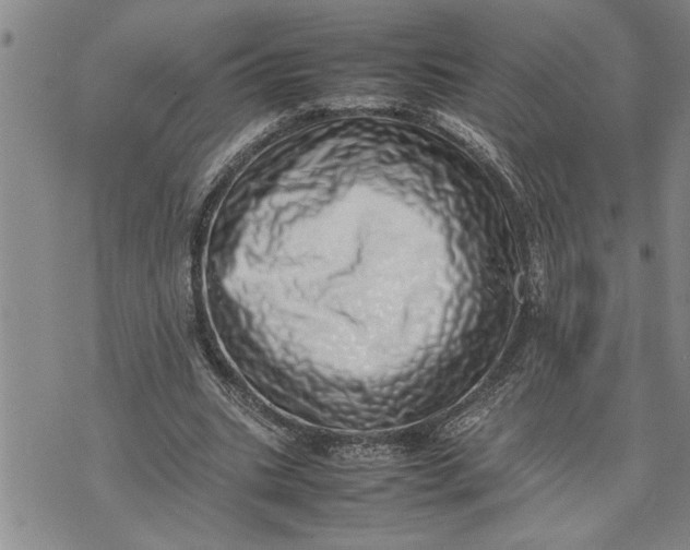X0000075330535200609250949