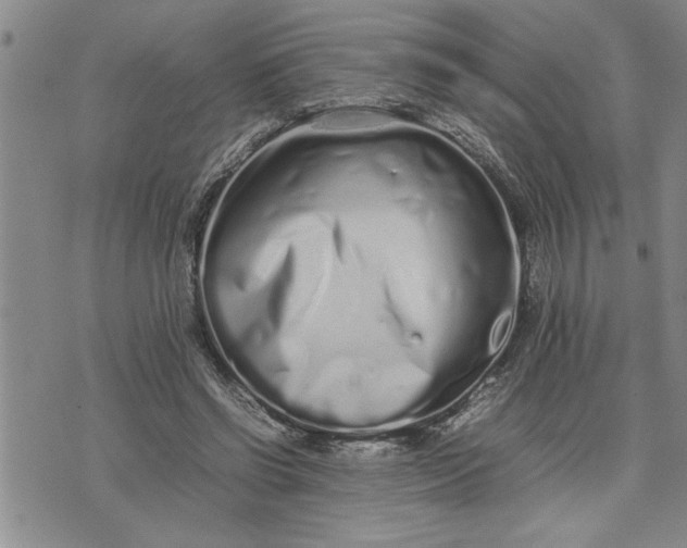X0000075330542200609250949