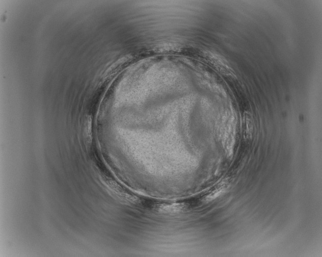 X0000075330550200609250949