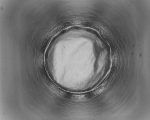 X0000075330554200609250949