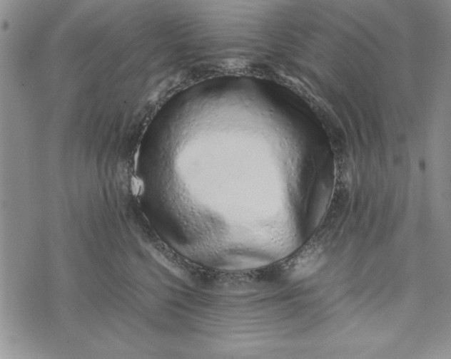 X0000075330568200609250950