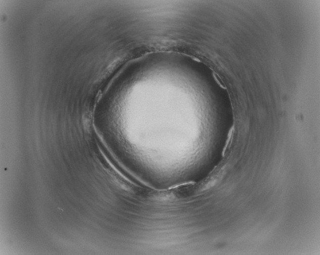 X0000075330576200609250950