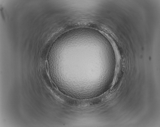 X0000075330593200609250949