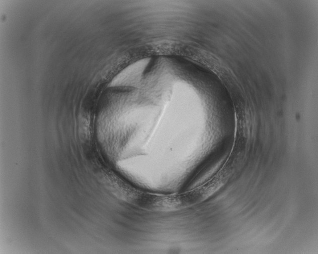 X0000075330610200609250949