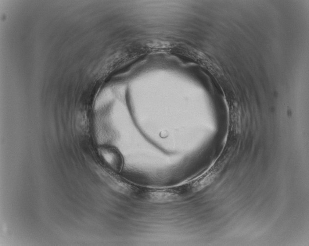 X0000075330614200609250948