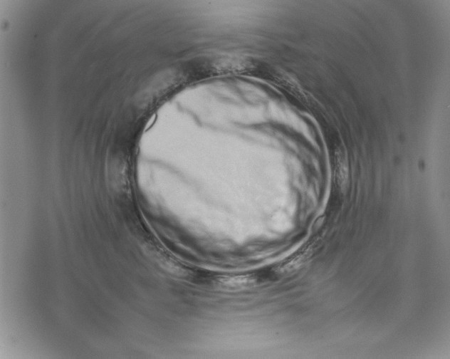 X0000075330619200609250948
