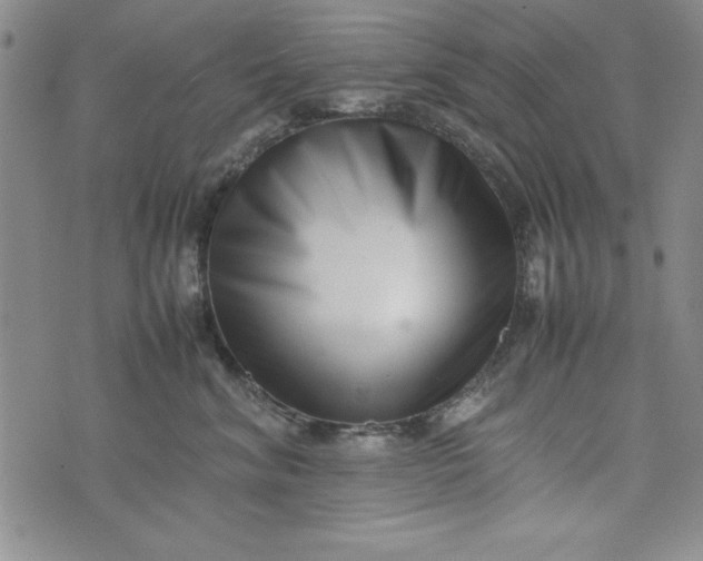 X0000075330620200609250948
