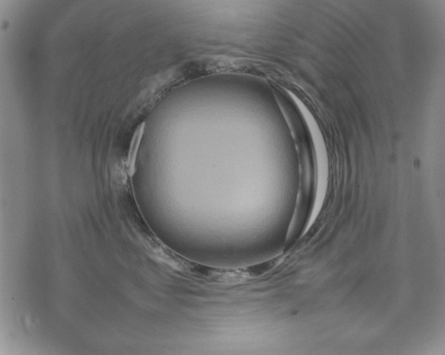 X0000075330621200609250948