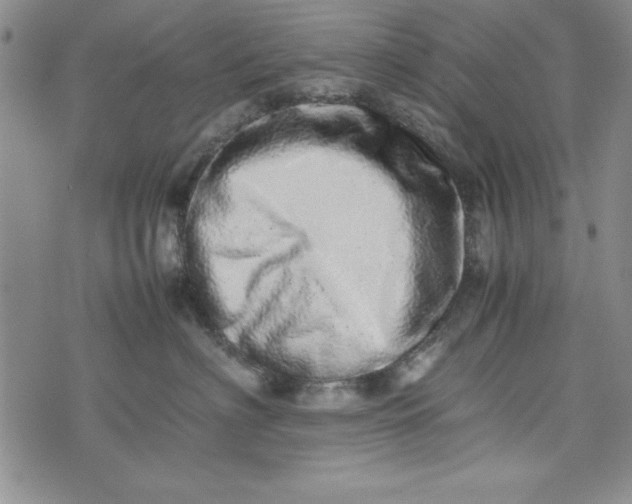 X0000075330622200609250948