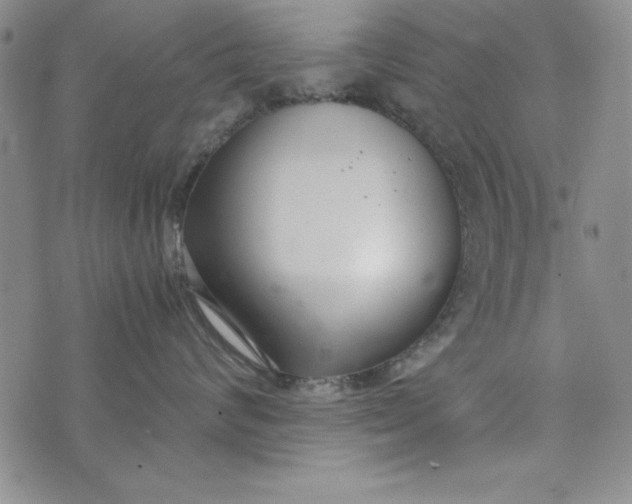X0000075330624200609250948