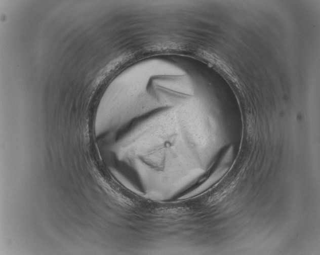X0000075330629200609250948