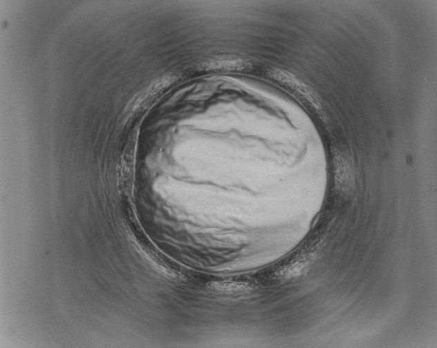 X0000075330633200609250948