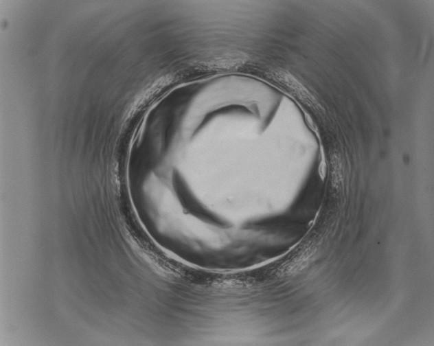 X0000075330634200609250948