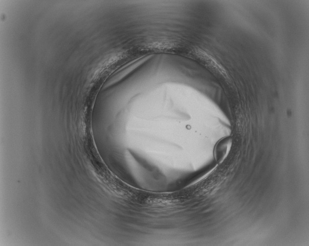 X0000075330635200609250948