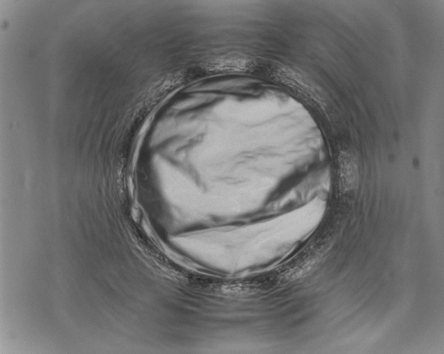 X0000075330641200609250948