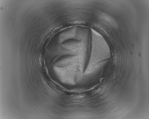 X0000075330643200609250948