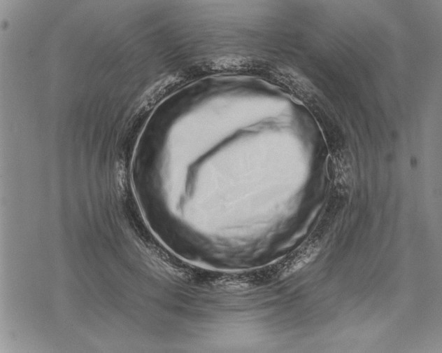 X0000075330648200609250948