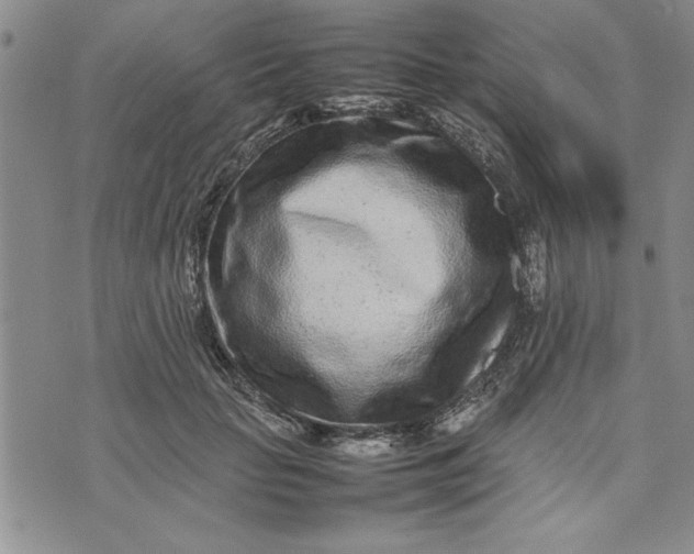 X0000075330653200609250948