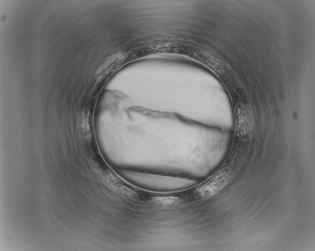 X0000075330654200609250948