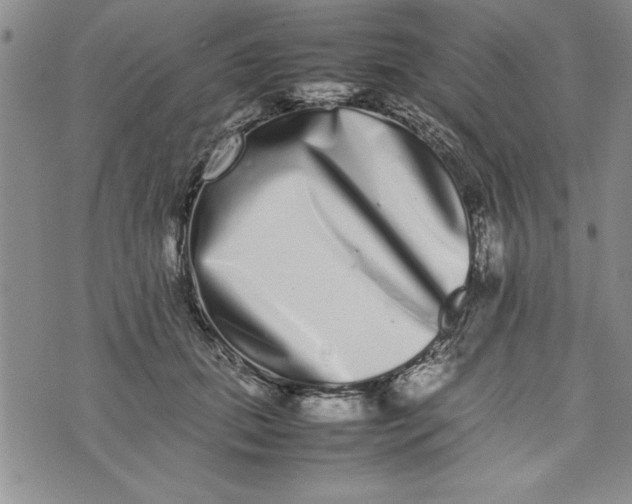 X0000075330655200609250948