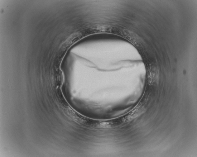 X0000075330656200609250948