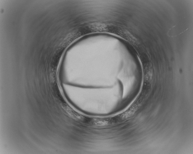 X0000075330658200609250948
