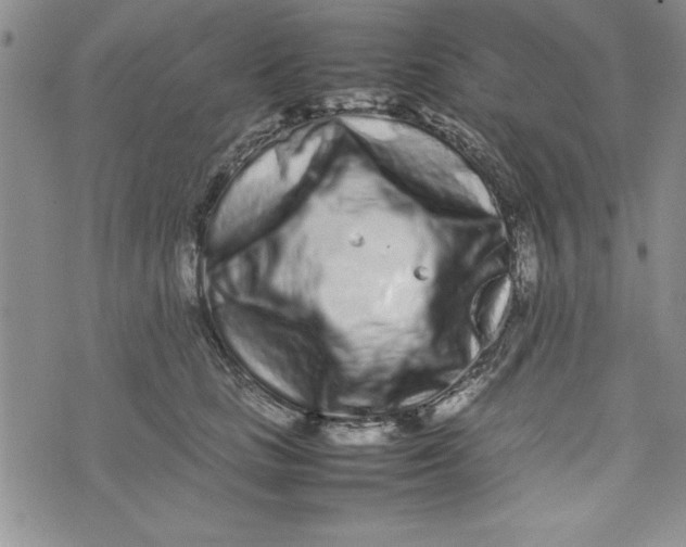 X0000075330661200609250948