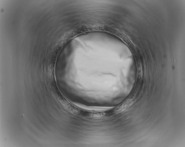 X0000075330662200609250948