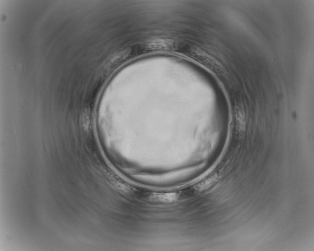 X0000075330665200609250948
