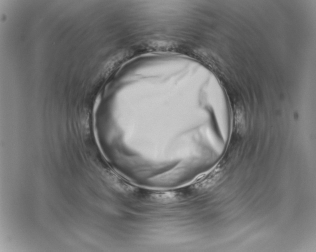 X0000075330668200609250948