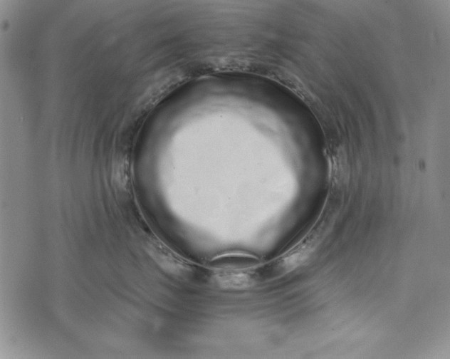 X0000075330671200609250948