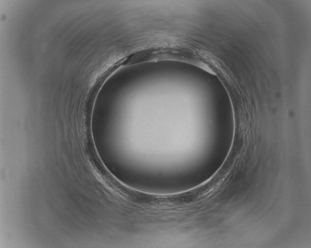 X0000075330677200609250947