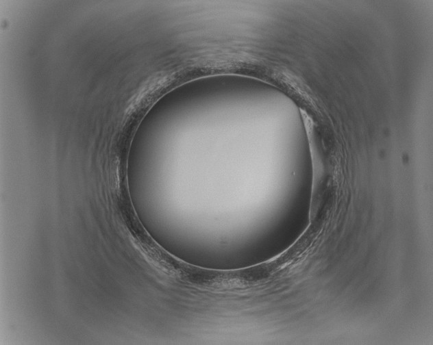 X0000075330685200609250947