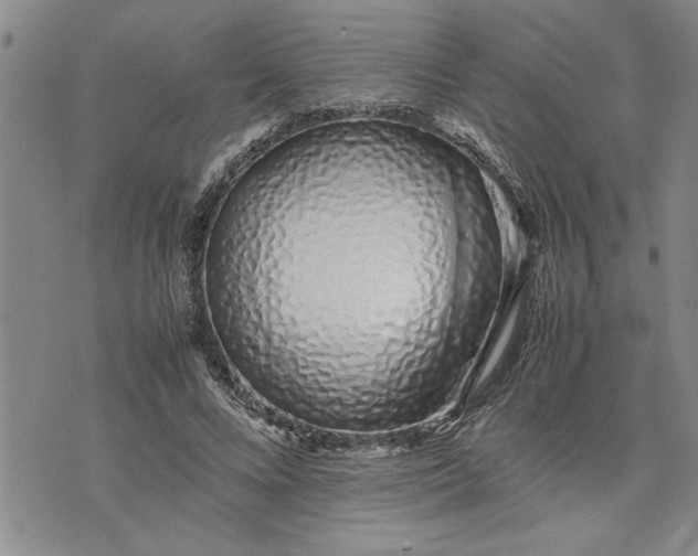 X0000075330688200609250947