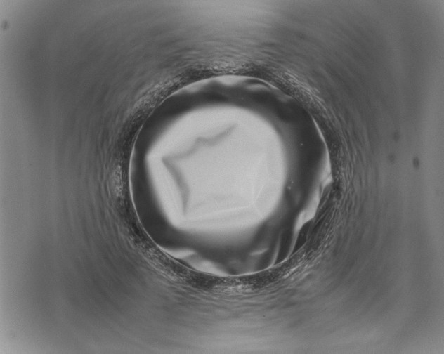 X0000075330689200609250947