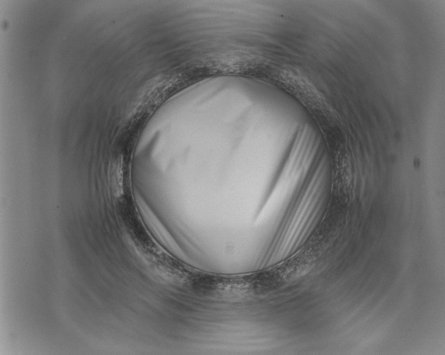 X0000075330694200609250947