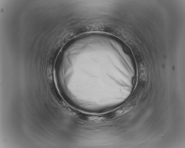 X0000075330699200609250947